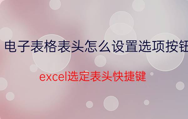 电子表格表头怎么设置选项按钮 excel选定表头快捷键？